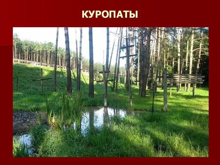 КУРОПАТЫ