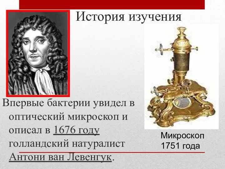 Впервые бактерии увидел в оптический микроскоп и описал в 1676 году голландский