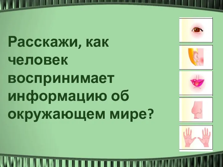 Расскажи, как человек воспринимает информацию об окружающем мире?