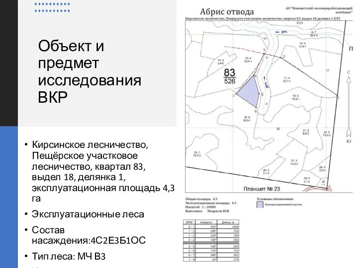 Объект и предмет исследования ВКР Кирсинское лесничество, Пещёрское участковое лесничество, квартал 83,