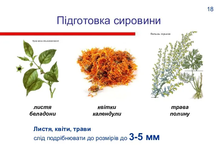 Підготовка сировини Листя, квіти, трави слід подрібнювати до розмірів до 3-5 мм