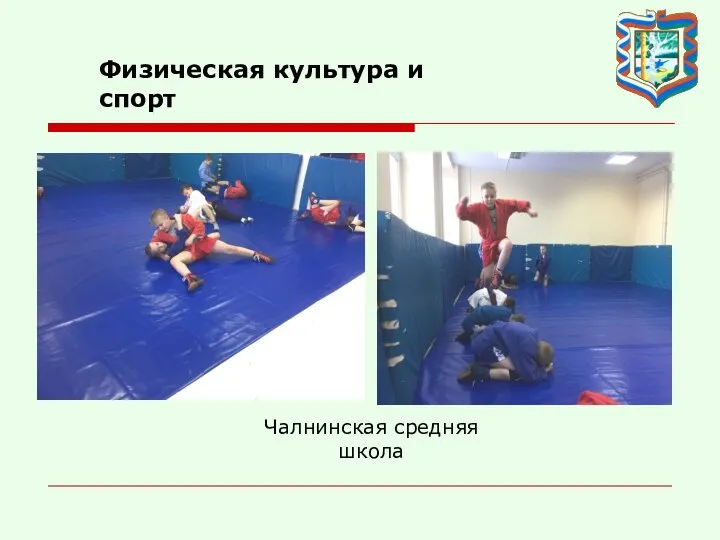 Физическая культура и спорт Чалнинская средняя школа