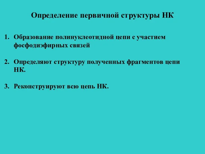 Определение первичной структуры НК Образование полинуклеотидной цепи с участием фосфодиэфирных связей Определяют