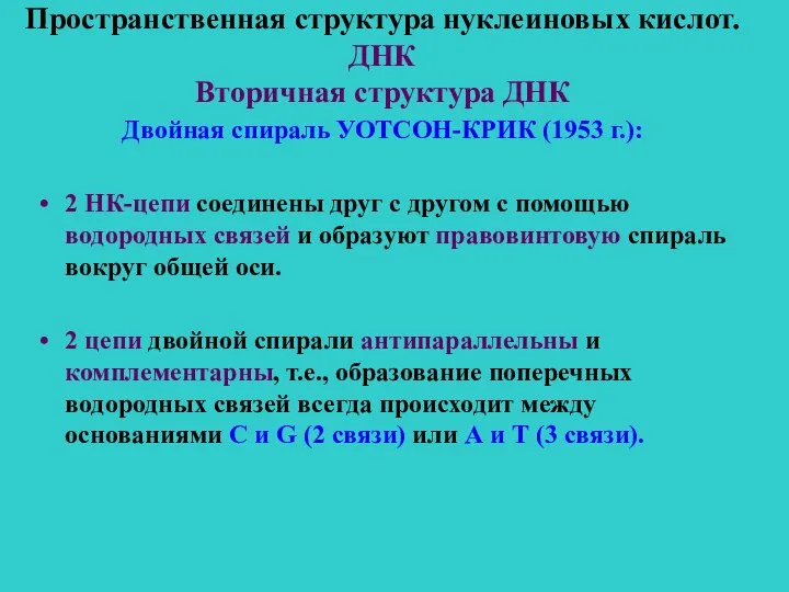 Пространственная структура нуклеиновых кислот. ДНК Вторичная структура ДНК Двойная спираль УОТСОН-КРИК (1953