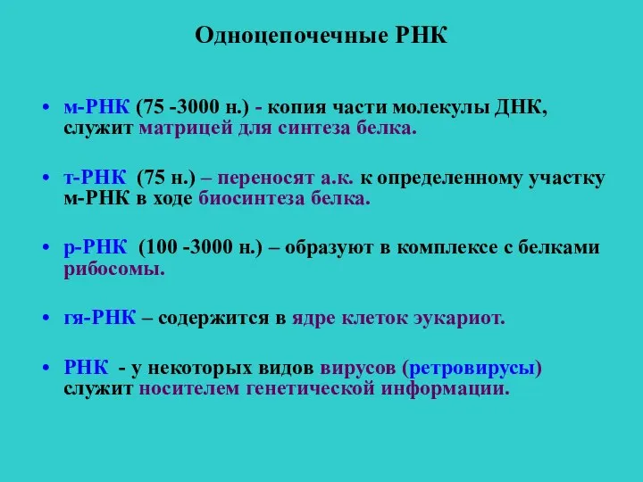 Одноцепочечные РНК м-РНК (75 -3000 н.) - копия части молекулы ДНК, служит