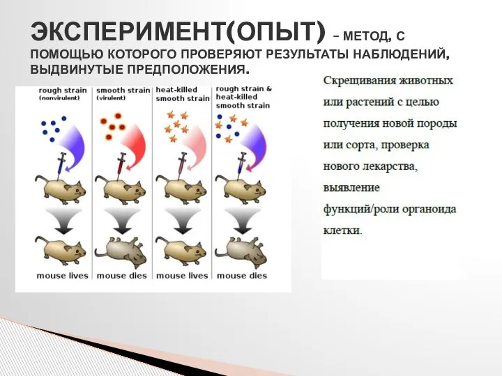 ЭКСПЕРИМЕНТ(ОПЫТ) – МЕТОД, С ПОМОЩЬЮ КОТОРОГО ПРОВЕРЯЮТ РЕЗУЛЬТАТЫ НАБЛЮДЕНИЙ, ВЫДВИНУТЫЕ ПРЕДПОЛОЖЕНИЯ.