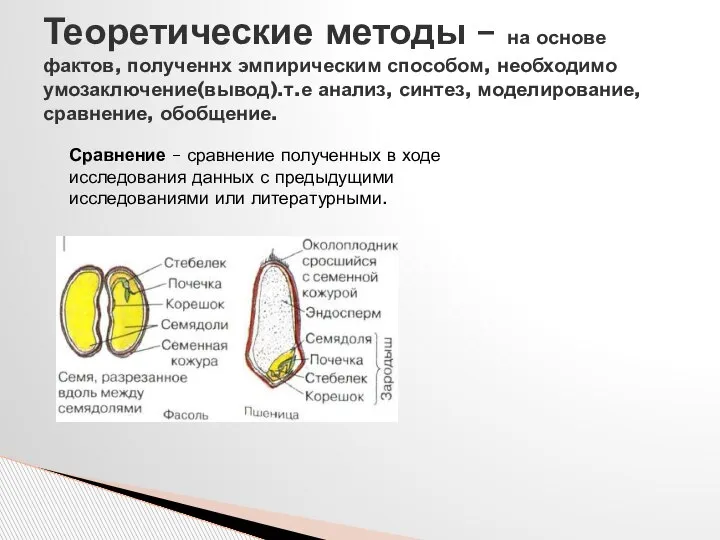 Теоретические методы – на основе фактов, полученнх эмпирическим способом, необходимо умозаключение(вывод).т.е анализ,