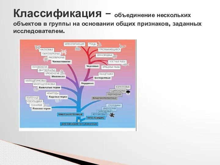 Классификация – объединение нескольких объектов в группы на основании общих признаков, заданных исследователем.