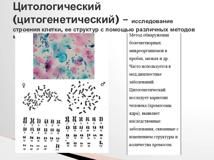 Цитологический (цитогенетический) – исследование строения клетки, ее структур с помощью различных методов микроскопирования