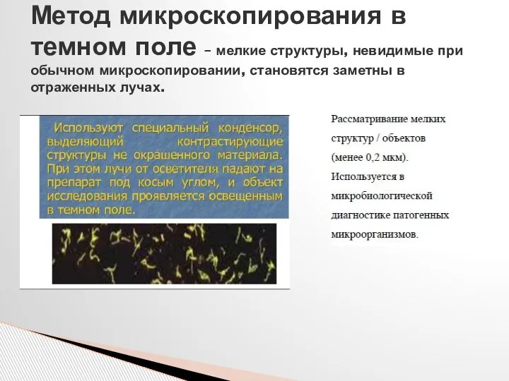 Метод микроскопирования в темном поле – мелкие структуры, невидимые при обычном микроскопировании,