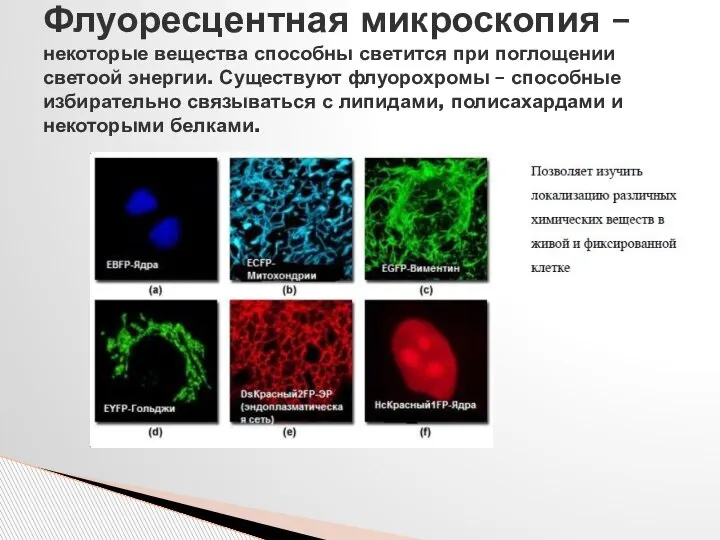 Флуоресцентная микроскопия – некоторые вещества способны светится при поглощении светоой энергии. Существуют