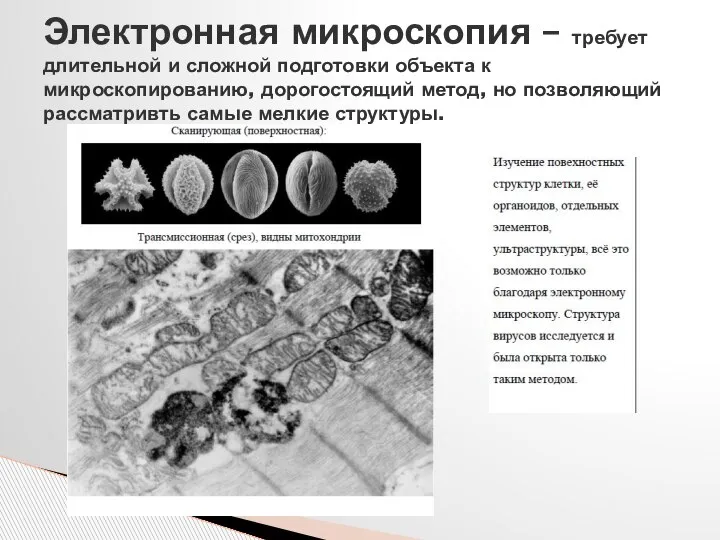 Электронная микроскопия – требует длительной и сложной подготовки объекта к микроскопированию, дорогостоящий