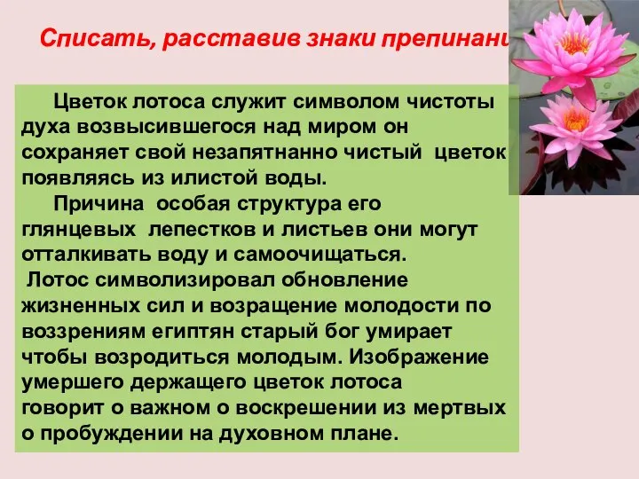 Списать, расставив знаки препинания Цветок лотоса служит символом чистоты духа возвысившегося над