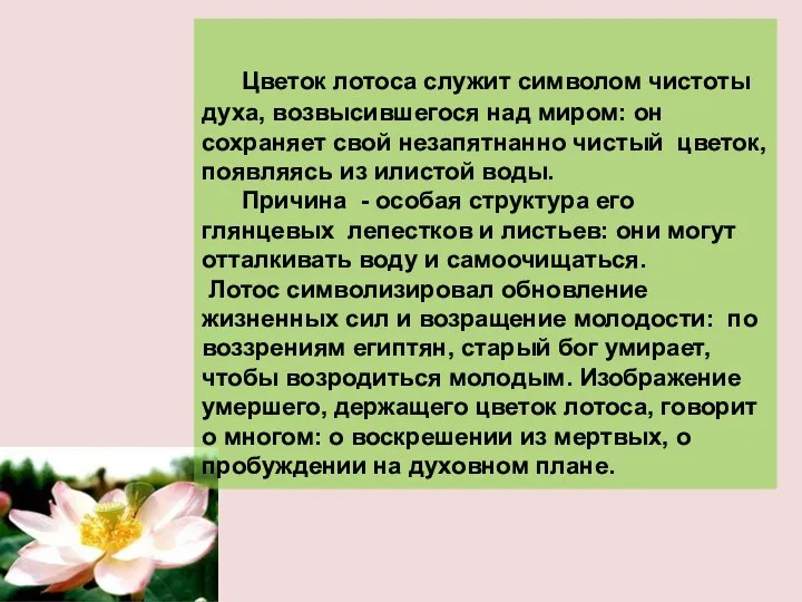 Цветок лотоса служит символом чистоты духа, возвысившегося над миром: он сохраняет свой