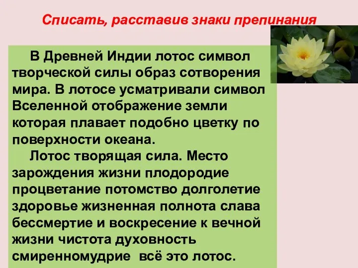 Списать, расставив знаки препинания В Древней Индии лотос символ творческой силы образ