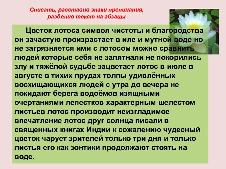 Цветок лотоса символ чистоты и благородства он зачастую произрастает в иле и