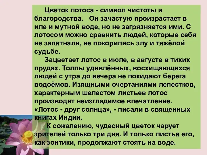 Цветок лотоса - символ чистоты и благородства. Он зачастую произрастает в иле