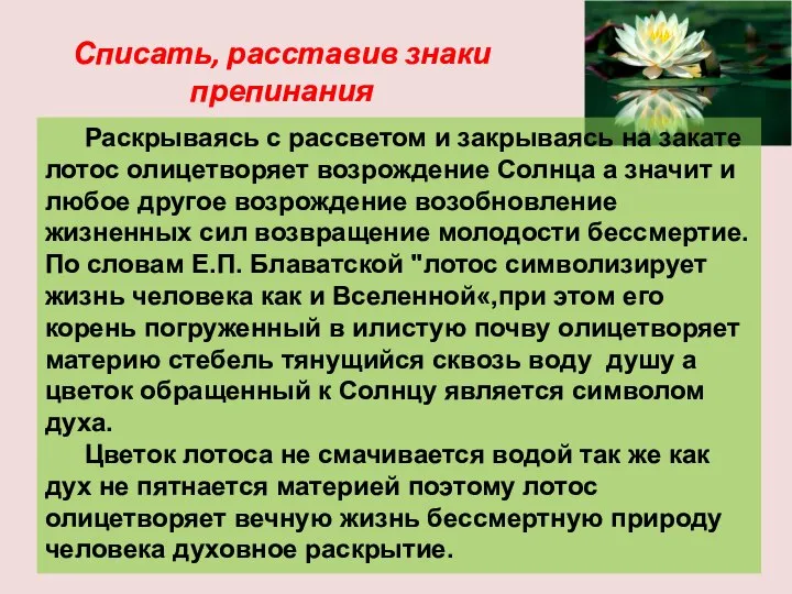 Списать, расставив знаки препинания Раскрываясь с рассветом и закрываясь на закате лотос