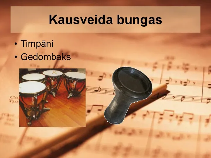 Kausveida bungas Timpāni Gedombaks