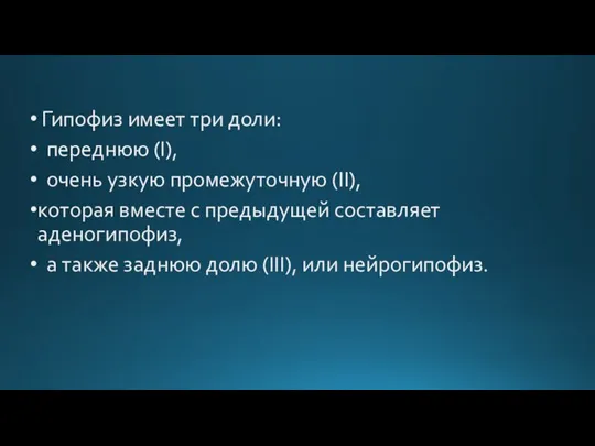 Гипофиз имеет три доли: переднюю (I), очень узкую промежуточную (II), которая вместе