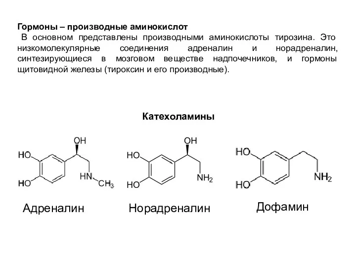 Гормоны – производные аминокислот В основном представлены производными аминокислоты тирозина. Это низкомолекулярные