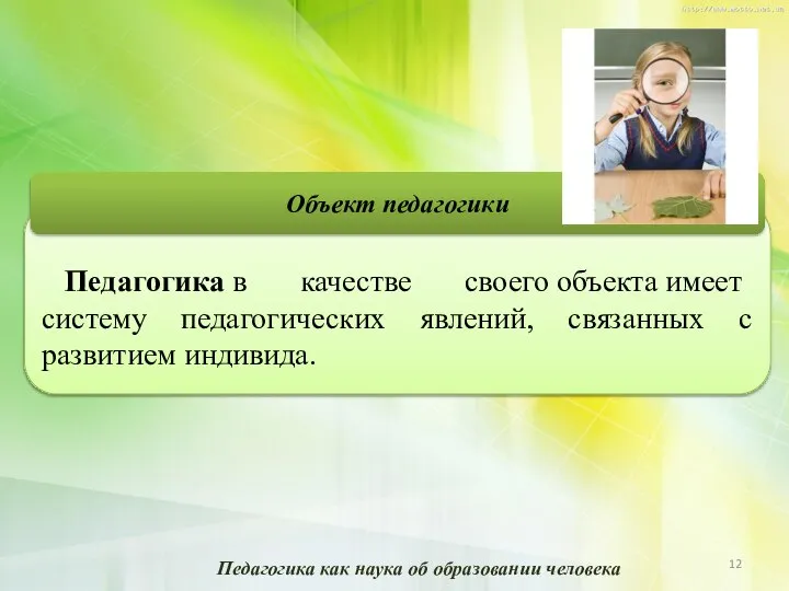 Педагогика в качестве своего объекта имеет систему педагогических явлений, связанных с развитием