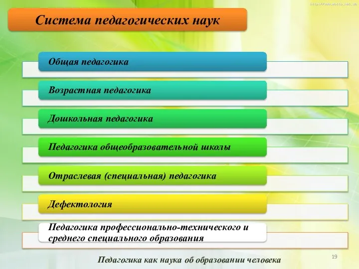 Система педагогических наук Педагогика как наука об образовании человека