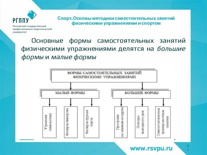 Спорт. Основы методики самостоятельных занятий физическими упражнениями и спортом Основные формы самостоятельных