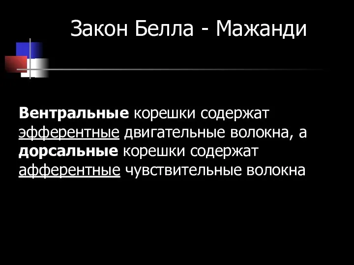 Закон Белла - Мажанди Вентральные корешки содержат эфферентные двигательные волокна, а дорсальные