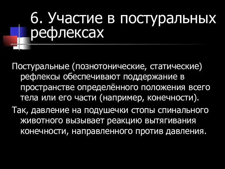 6. Участие в постуральных рефлексах Постуральные (познотонические, статические) рефлексы обеспечивают поддержание в