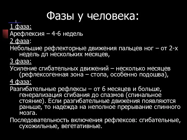 Фазы у человека: 1 фаза: Арефлексия – 4-6 недель 2 фаза: Небольшие