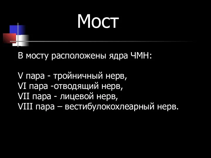 Мост В мосту расположены ядра ЧМН: V пара - тройничный нерв, VI