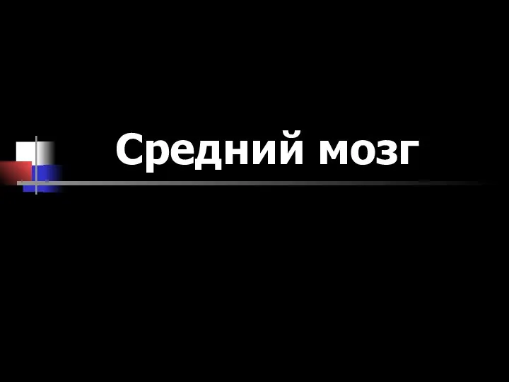 Средний мозг