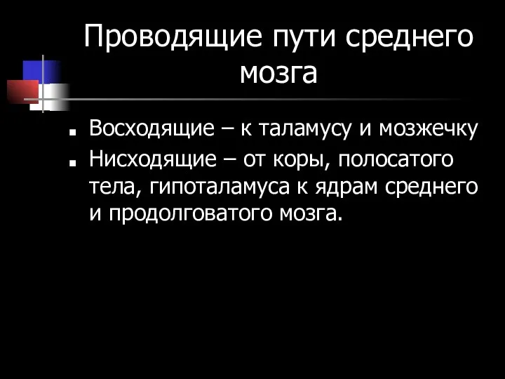 Проводящие пути среднего мозга Восходящие – к таламусу и мозжечку Нисходящие –