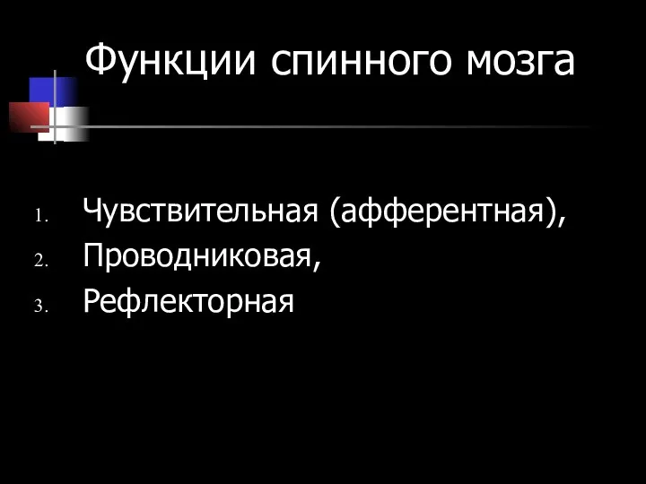 Функции спинного мозга Чувствительная (афферентная), Проводниковая, Рефлекторная