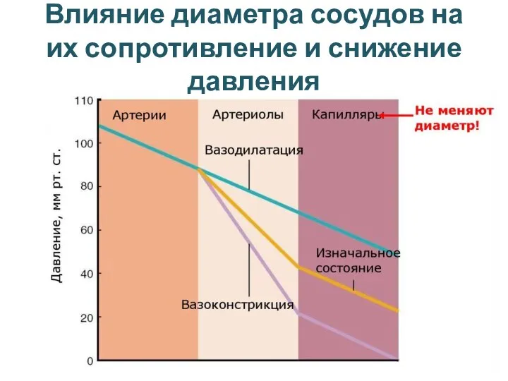 Влияние диаметра сосудов на их сопротивление и снижение давления