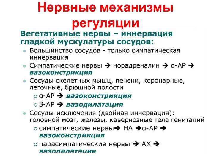 Нервные механизмы регуляции