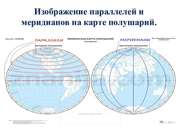 Изображение параллелей и меридианов на карте полушарий.