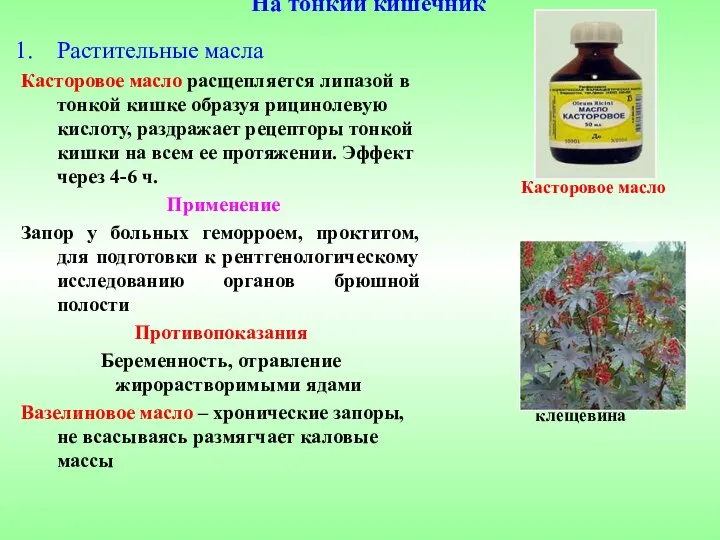 На тонкий кишечник Растительные масла Касторовое масло расщепляется липазой в тонкой кишке