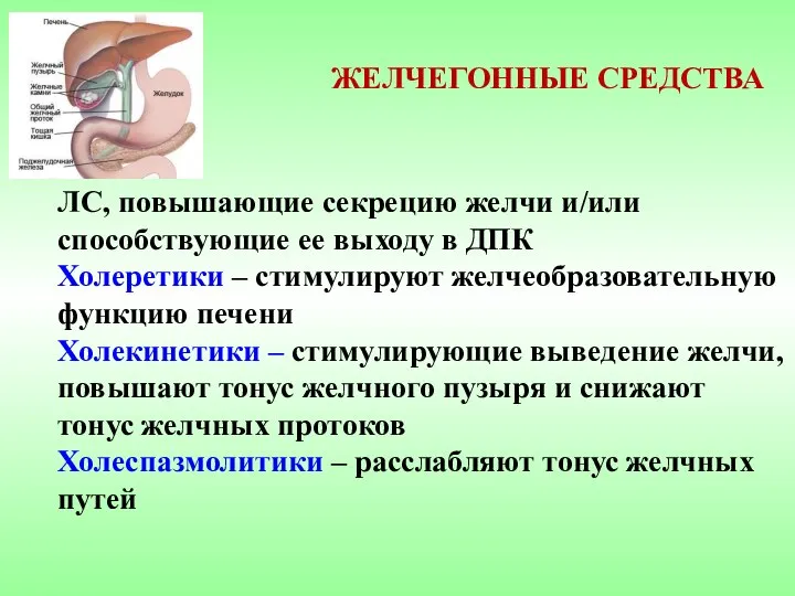 ЖЕЛЧЕГОННЫЕ СРЕДСТВА ЛС, повышающие секрецию желчи и/или способствующие ее выходу в ДПК