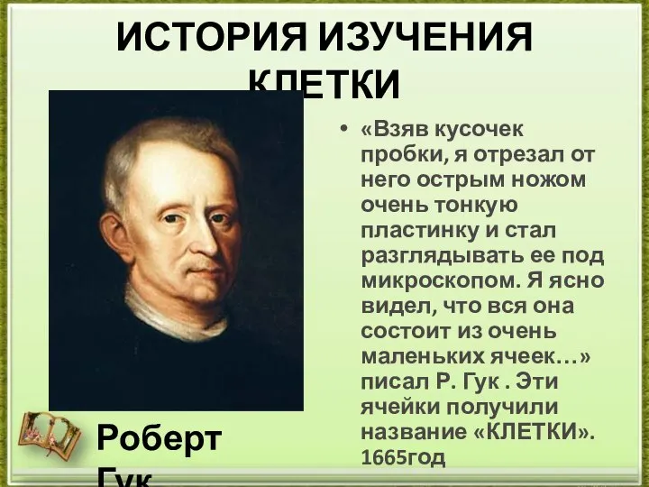 ИСТОРИЯ ИЗУЧЕНИЯ КЛЕТКИ «Взяв кусочек пробки, я отрезал от него острым ножом