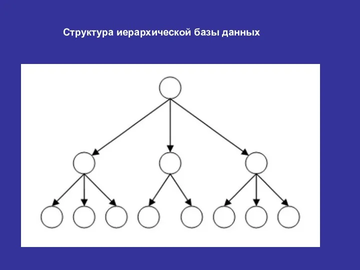 Структура иерархической базы данных