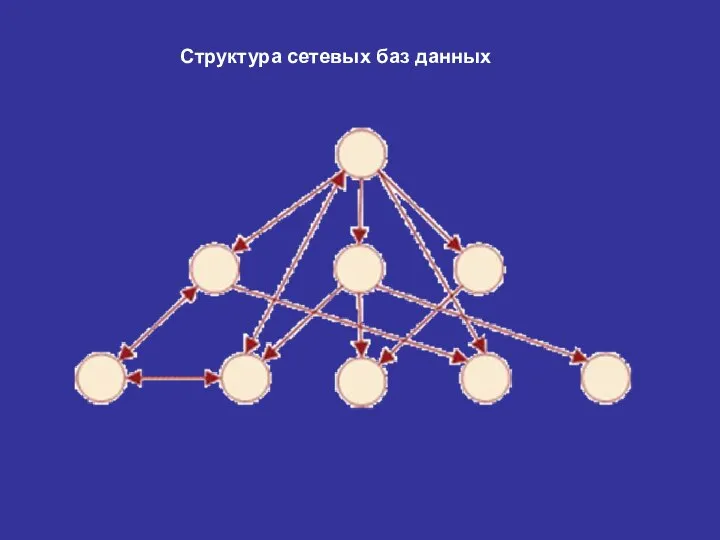 Структура сетевых баз данных