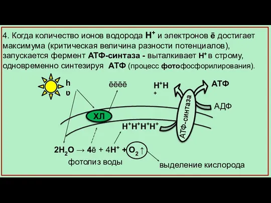 Н+Н+ 4. Когда количество ионов водорода Н+ и электронов ē достигает максимума