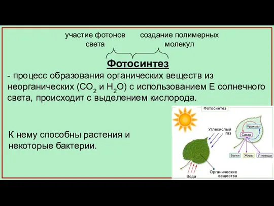 Фотосинтез - процесс образования органических веществ из неорганических (СО2 и Н2О) с