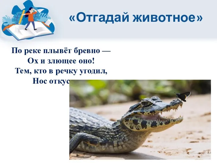 «Отгадай животное» По реке плывёт бревно — Ох и злющее оно! Тем,