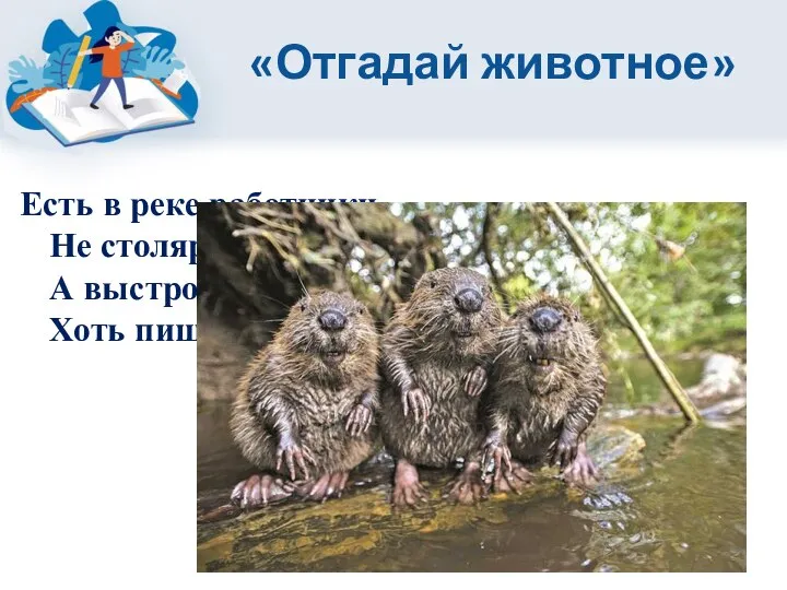 «Отгадай животное» Есть в реке работники Не столяры, не плотники, А выстроят