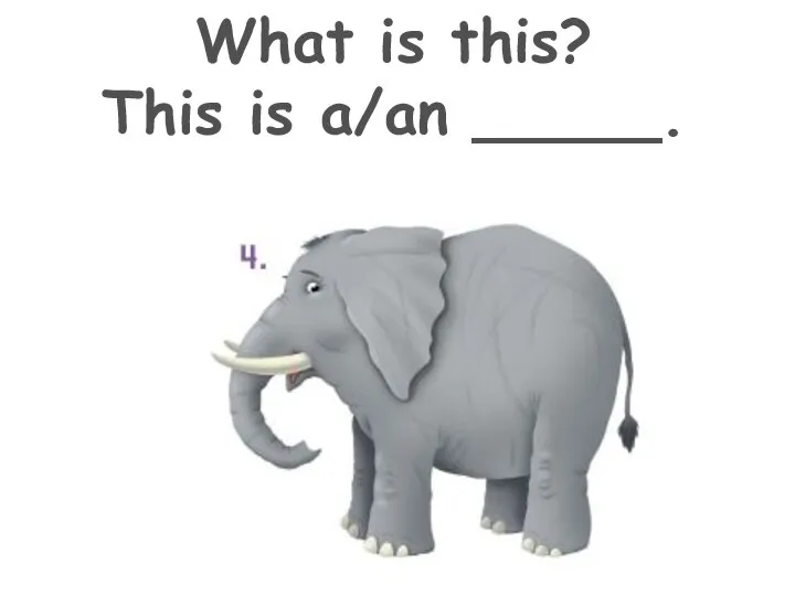 What is this? This is a/an _____.