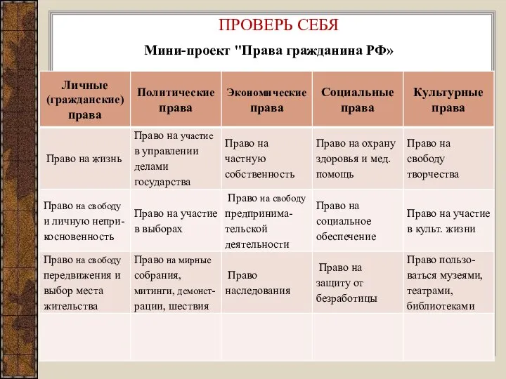 ПРОВЕРЬ СЕБЯ Мини-проект "Права гражданина РФ»