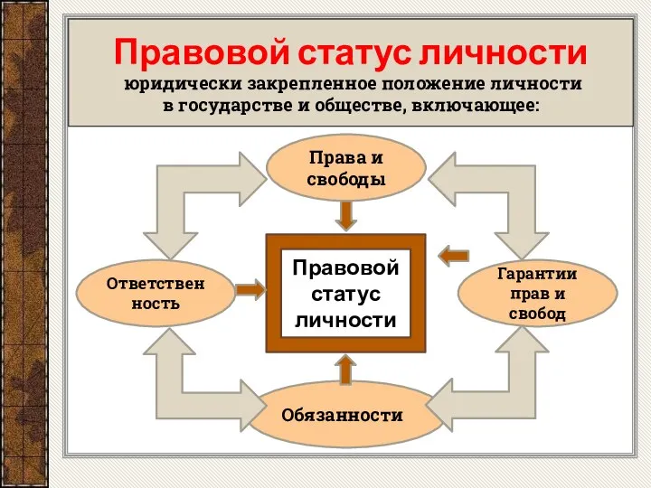 Правовой статус личности Права и свободы Гарантии прав и свобод Обязанности Ответственность